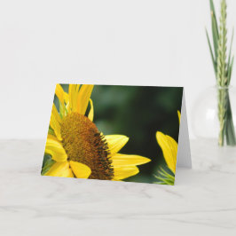 Het Lege Wenskaart van de zonnebloem Kaart