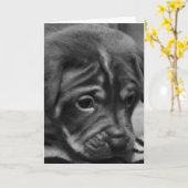 Het Lege Wenskaart van het Gezicht van het puppy Kaart (Gele Bloem)