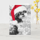 Het Lege Wenskaart van het Meisje van Shih Tzu van Kaart (Gele Bloem)