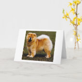 Het Lege Wenskaart van het Portret van de Hond van Kaart (Gele Bloem)