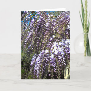 Het Lege Wenskaart van Wisteria Kaart