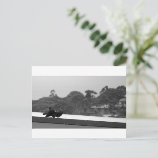 Het leiden Pigeons Briefkaart (Staand voorkant)