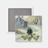 Het leiden van de Schapen Magneet (Voorkant / Achterkant)