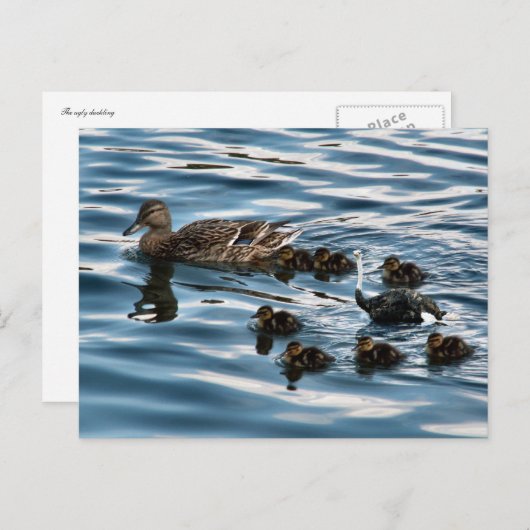 Het lelijke briefkaart van de eenden (Voorkant / Achterkant)