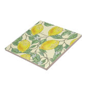 Het  Lemons Patroon van de Waterverf van de zomer Tegeltje (Zijkant)