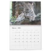Het Leopard Wild Animal Kalender (Feb 2026)