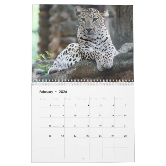 Het Leopard Wild Animal Kalender (Feb 2026)