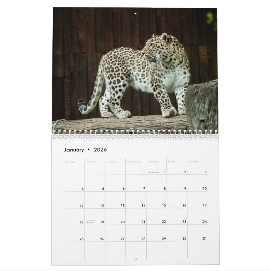 Het Leopard Wild Animal Kalender (Jan 2026)