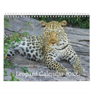 Het Leopard Wild Animal Kalender