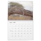 Het Leopard Wild Animal Kalender (Mar 2027)