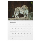 Het Leopard Wild Animal Kalender (Jan 2027)