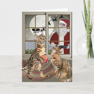Het Letten op van de Kat van Bengalen de Kaarten