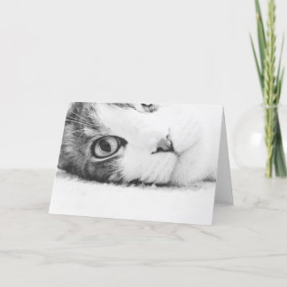 Het letten van op u, greetingcard leeg kaart