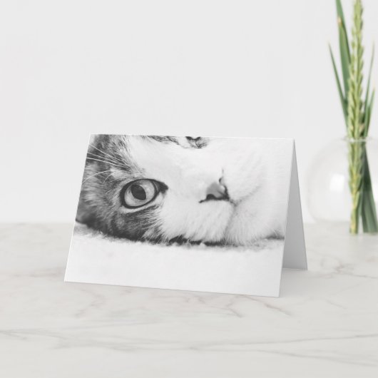 Het letten van op u, greetingcard leeg kaart (Voorkant)