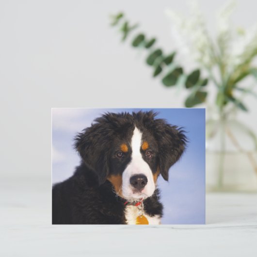 Het leuke Afbeelding van het Puppy van de Hond van Briefkaart (Staand voorkant)