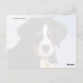 Het leuke Afbeelding van het Puppy van de Hond van Briefkaart (Achterkant)