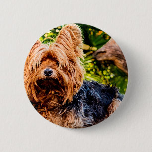 Het leuke Art. van de Pret van het Lot van de Lief Ronde Button 5,7 Cm