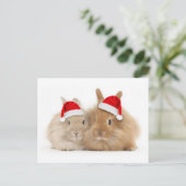 Het leuke Briefkaart van de Vakantie van het (Staand voorkant)