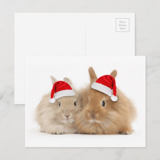 Het leuke Briefkaart van de Vakantie van het (Voorkant / Achterkant)