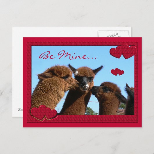 Het leuke Briefkaart van de Valentijnsdag van de (Voorkant / Achterkant)