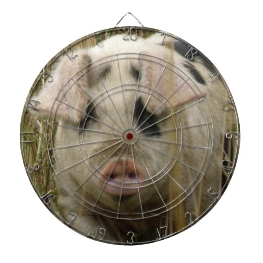 Het leuke Dartboard van het Varken Dartbord (Voorkant)
