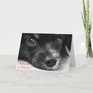 Het leuke Gezicht van het Puppy zal "u de Kaart