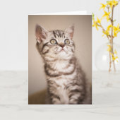 Het leuke Grijze Britse Korte Katje van het Haar Kaart (Gele Bloem)