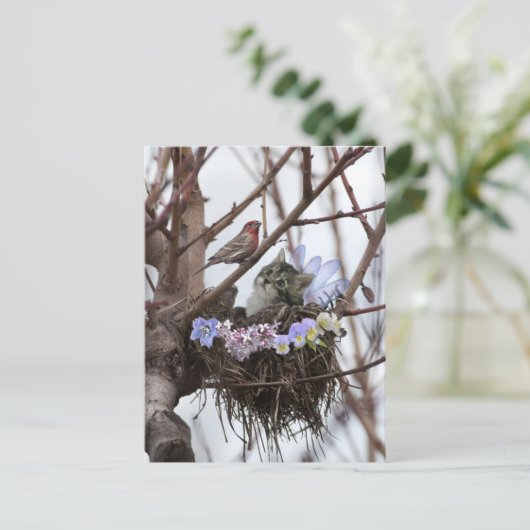 Het leuke katje en vogelbriefkaart van nestPasen Feestdagenkaart (Staand voorkant)