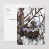 Het leuke katje en vogelbriefkaart van nestPasen Feestdagenkaart (Voorkant / Achterkant)