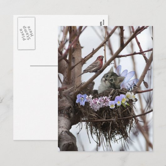 Het leuke katje en vogelbriefkaart van nestPasen Feestdagenkaart (Voorkant / Achterkant)