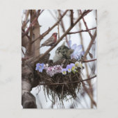 Het leuke katje en vogelbriefkaart van nestPasen Feestdagenkaart (Voorkant)