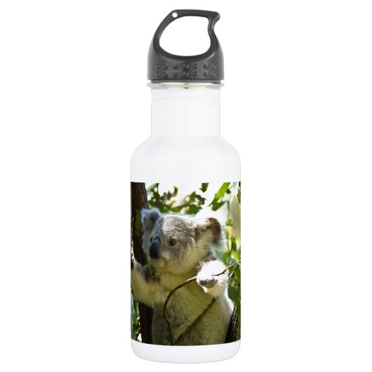 Het leuke Kleurrijke Park van de Dierentuin van de Waterfles (Voorkant)
