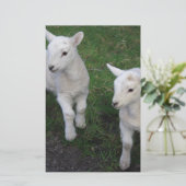 Het leuke Lam van de Schapen van de Tweelingen van Briefpapier (Staand voorkant)
