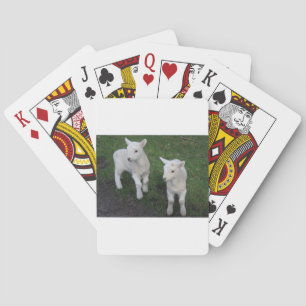 Het leuke Lam van de Schapen van de Tweelingen van Pokerkaarten