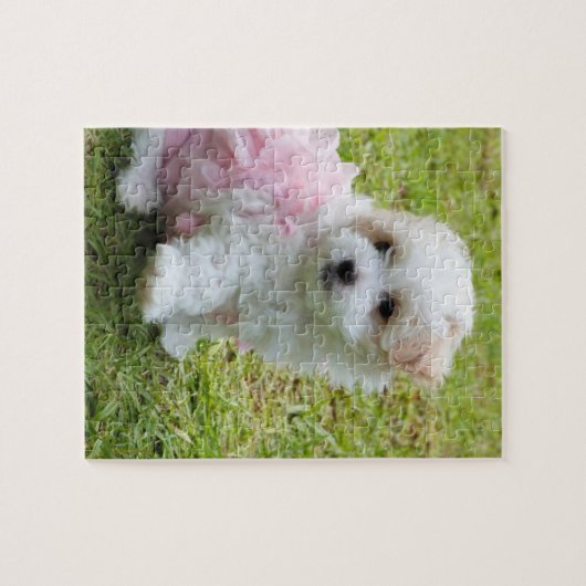 Het leuke Maltese Raadsel van het Puppy van de Legpuzzel (Horizontaal)