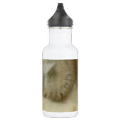 Het leuke Polaire Digitale Lot van de Partij van Waterfles (Rechts)