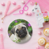 Het leuke Pug Fawn Portret van de Hond van het Papieren Bordje (Feest)