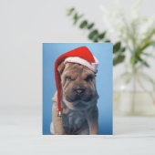 Het leuke puppy van Shar Pei met het pet van Feestdagenkaart (Staand voorkant)