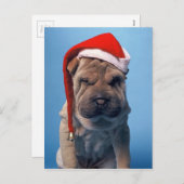 Het leuke puppy van Shar Pei met het pet van Feestdagenkaart (Voorkant / Achterkant)