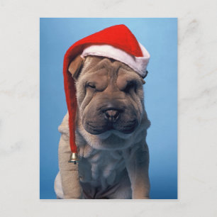 Het leuke puppy van Shar Pei met het pet van Feestdagenkaart