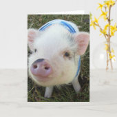 Het leuke Varken van de Buik van de Pot Kaart (Gele Bloem)