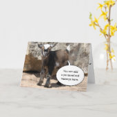 Het leuke Wenskaart van de Geit van het Baby Kaart (Gele Bloem)