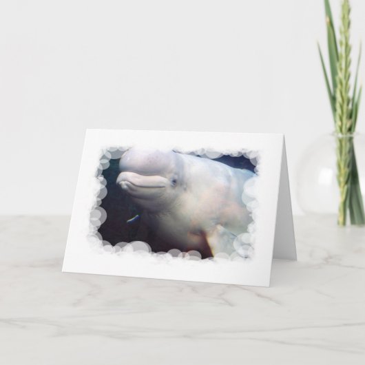 Het leuke Wenskaart van de Walvis van de Beloega Kaart (Voorkant)