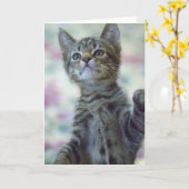 Het leuke Wenskaart van het Katje Kaart (Gele Bloem)