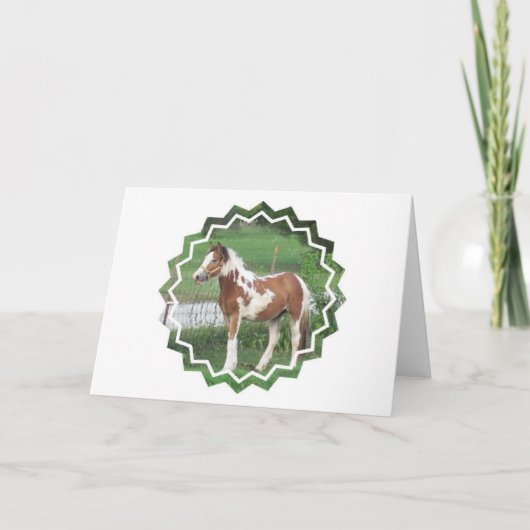 Het leuke Wenskaart van het Pony van de Verf Kaart (Voorkant)