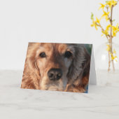 Het leuke Wenskaart van het Spaniel Kaart (Gele Bloem)