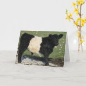 Het leuke Zwarte Omgorde Kalf van Galloway Kaart (Gele Bloem)