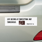 Het leven begint bij de conceptie. bumpersticker (Op auto)