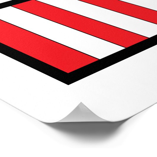 Het leven begint bij de conceptie poster (Hoek)