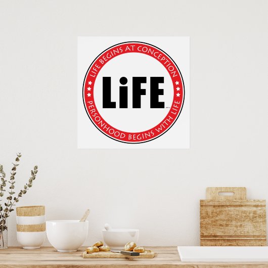 Het leven begint bij de conceptie poster (Keuken)